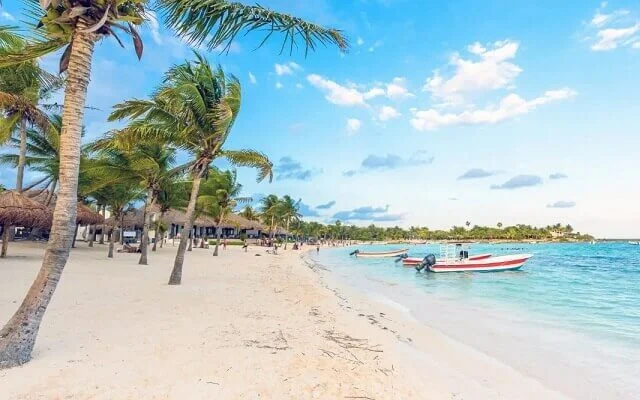 Palm trees, sand, sea and sky at a beach in Playa Paraiso. One of the destinations available for Cancun Airport Transportation